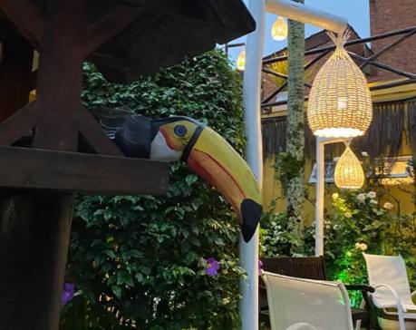 Canto Das Laranjeiras Moa Guarujá Kültér fotó